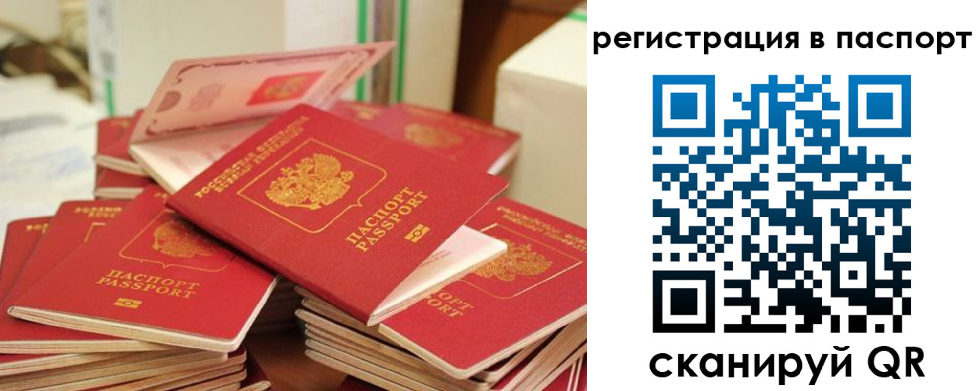 временная регистрация купить в Брянской области